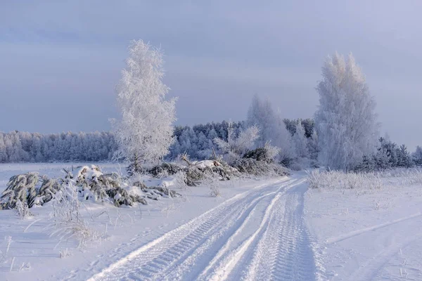Märchenhafte Winterlandschaft mit weißen Bäumen — Stockfoto