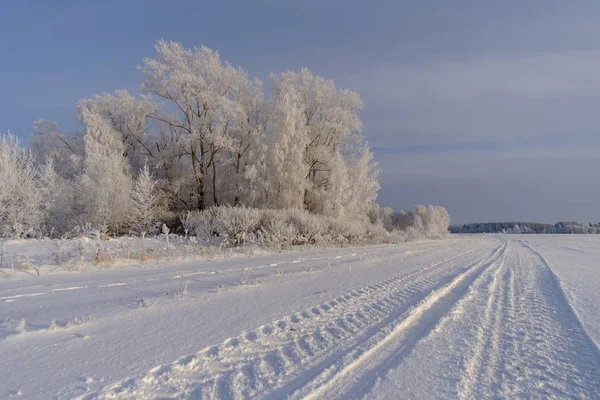 Fabulosa paisagem de inverno com árvores brancas — Fotografia de Stock