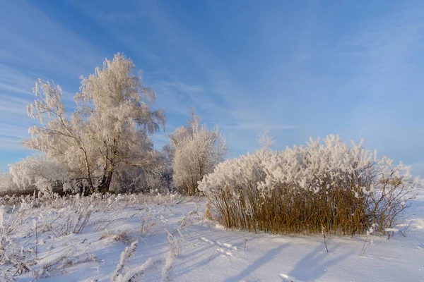 Fabulosa paisagem de inverno com árvores brancas — Fotografia de Stock