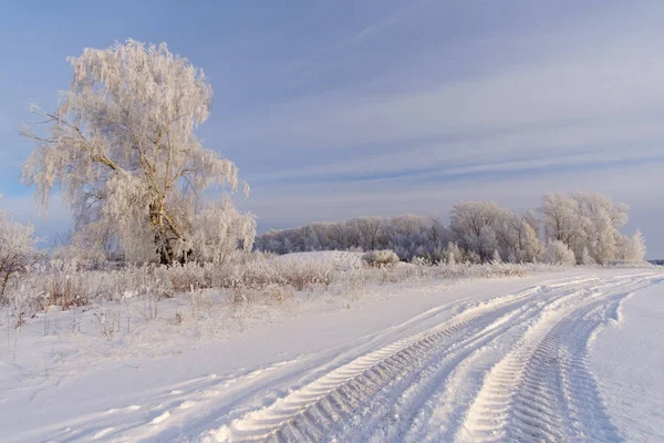 Favoloso paesaggio invernale con alberi bianchi — Foto Stock