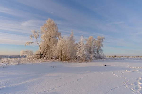 Fabulosa paisagem de inverno com árvores brancas — Fotografia de Stock