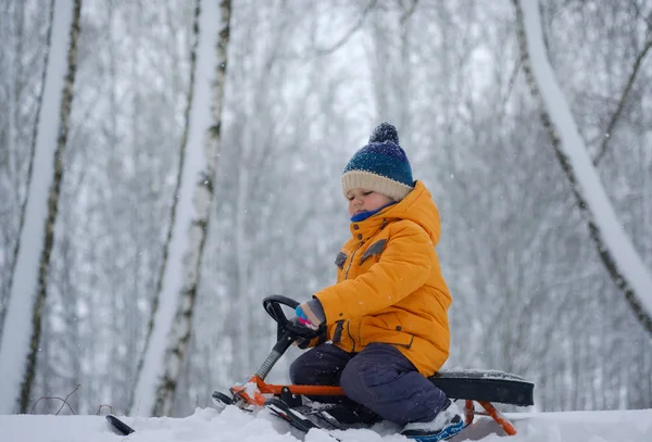 Söt Europeiska pojke som rider på släde i skogen — Stockfoto