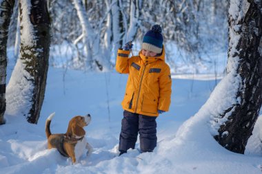çocuk ve Beagle köpek karlı kış orman içinde