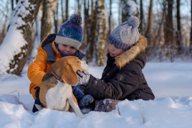 iki erkek ve bir Beagle kış orman ile