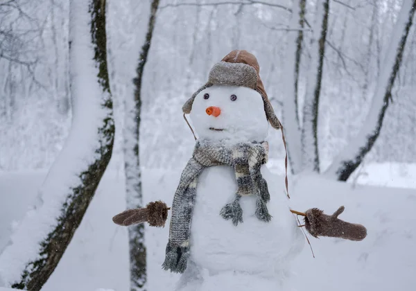 The funny snowman in the snowy forest — Stock Photo, Image