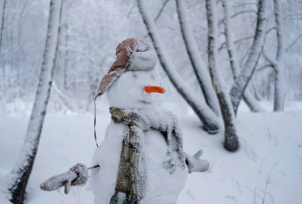 O boneco de neve engraçado na floresta nevada — Fotografia de Stock