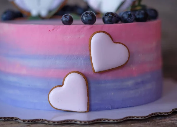 ブルー クリームとピンクの美しい自家製ケーキ フクロウ置物で飾られて — ストック写真