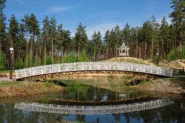 güzel bir çam ormanı gölde köprüden