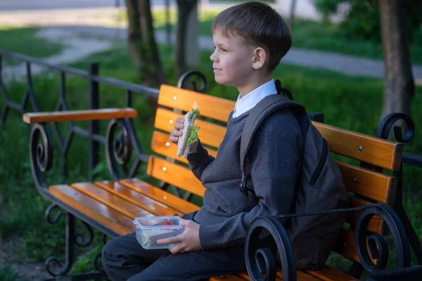 Европейский мальчик ест школьный завтрак на скамейке в парке — стоковое фото