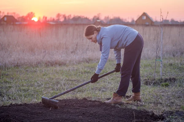 Jeune Femme Creuse Terre Sur Jardin Dans Soirée Printemps Sur Photos De Stock Libres De Droits