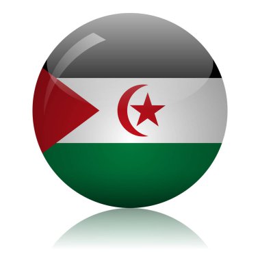 Batı Sahra bayrak topu açık ayna yüzey vektör illüstrasyonunda
