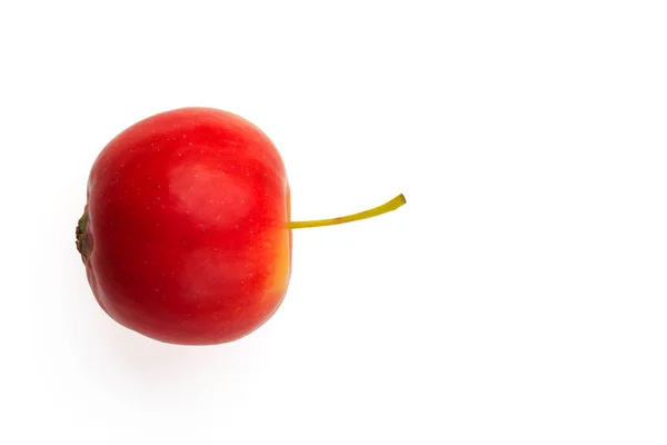 Red apples are placed on a white background. — Stock Photo, Image