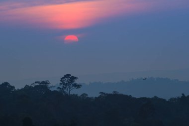 Büyük portakal güneş