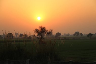 Hint tarlalarında gün batımı