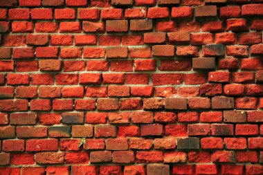 Eski bir tuğla duvar yosun kaplı