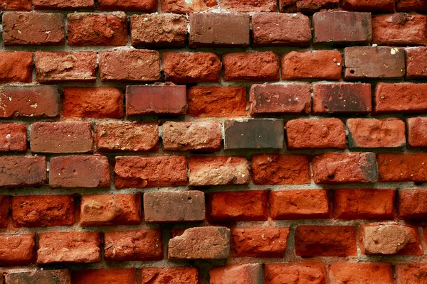 Eski bir tuğla duvar yosun kaplı