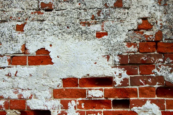 Eski bir tuğla duvar eski sıva izleri ile ve yosun kaplı