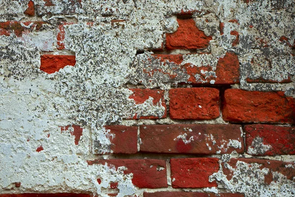 Eski bir tuğla duvar eski sıva izleri ile ve yosun kaplı