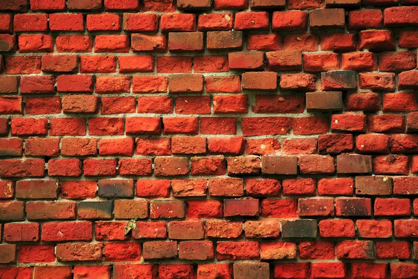 Eski bir tuğla duvar yosun kaplı. Eski tuğla kırmızı renk