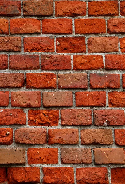 Eski bir tuğla duvar yosun kaplı. Eski tuğla kırmızı renk