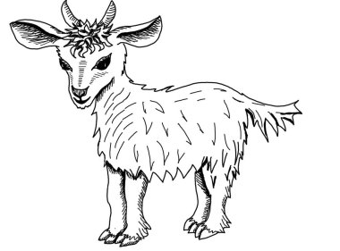 Beyaz bir arka plan üzerinde küçük keçi