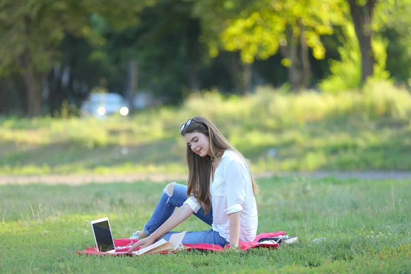 Giovane ragazza seduta sull'erba nel parco e lavora in un computer portatile . — Foto Stock