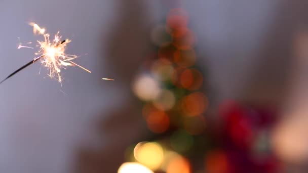 Woman's Hand Hold Show Sparklers, Bengal Fire, Lights Bokeh Background From Christmas Tree in Evening. — 图库视频影像