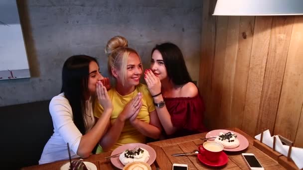 Drei schöne Weibchen erzählen Geheimnisse — Stockvideo