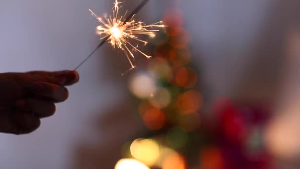 Mulher Mão Segure Show Sparklers, Bengala Fogo, Luzes Bokeh fundo da árvore de Natal na noite . — Vídeo de Stock