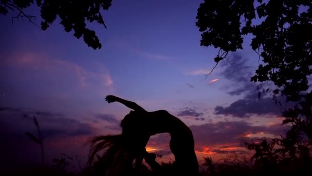 Silhouette contre le coucher de soleil violet rose d'une jeune fille gracieuse pratiquant le yoga en plein air . — Video