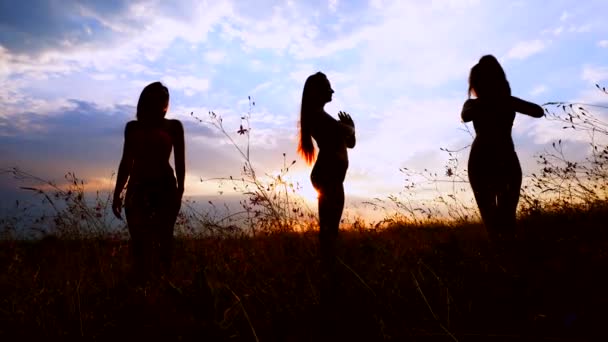 Силуэты против заката трех юных стройных девушек, практикующих йогу на открытом воздухе . — стоковое видео