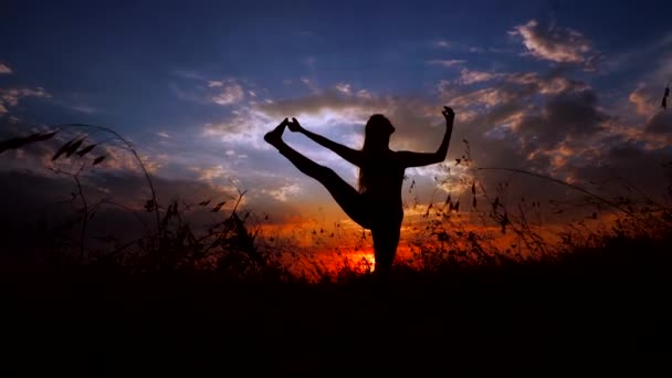 Sylwetka przeciwko różowy fioletowy zachód słońca z jednego Młoda zgrabna dziewczyna praktykowania jogi na świeżym powietrzu. — Wideo stockowe