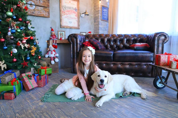 Niña bonita sonriendo y sentado abrazando con perro en estudio — Foto de Stock