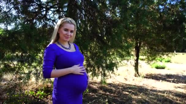 La ragazza bionda incinta mostra gesti, solleva il pollice e accarezza delicatamente la pancia, guarda la fotocamera e sorride nel parco durante il giorno all'aperto . — Video Stock