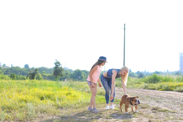 Tyttö nainen leikkii ystävä amerikkalainen bulldog käynnissä — kuvapankkivalokuva