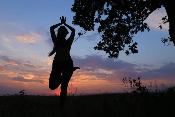 Slim girl showing various poses and dancing in field outdoors on — Stock Photo, Image