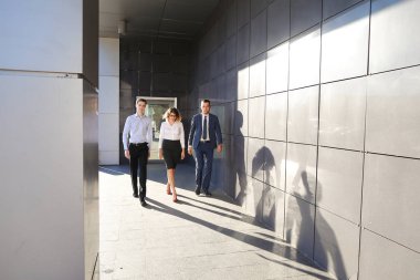Güzel başarılı insanlar, iki adam ve kız, genç businessme