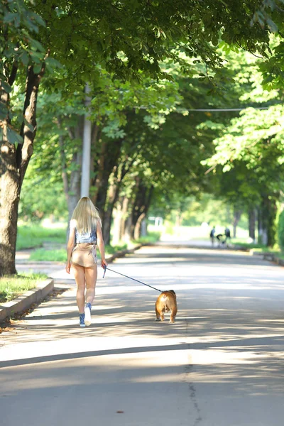 Fiatal gyönyörű nő lány hölgy szőke haját stílusú alkalmi amerikai bulldog vörös ajkak. — Stock Fotó