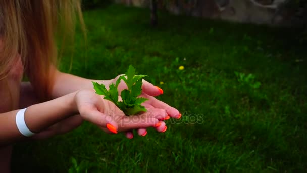 Gardener Girl innehar grönt spira på bakgrunden grön gräsmatta. — Stockvideo