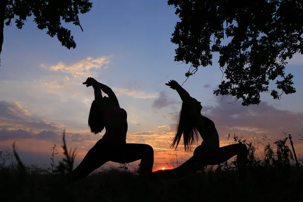 Две спортивные девушки позируют и превращаются в позы йоги или столба — стоковое фото