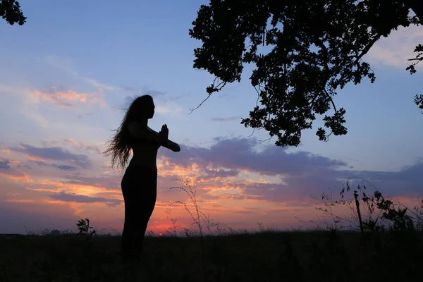 Štíhlá dívka ukazuje různé pózy a tančí v poli venku na — Stock fotografie