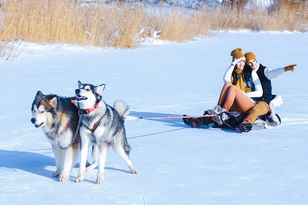 Genç çift gülümseyen ve kışın sarılma köpeklerle portresi