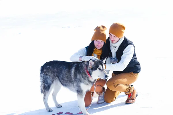 Portrait de jeune couple avec des chiens souriants et câlins en hiver — Photo