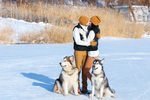 Portrait de jeune couple avec des chiens souriants et câlins en hiver — Photo