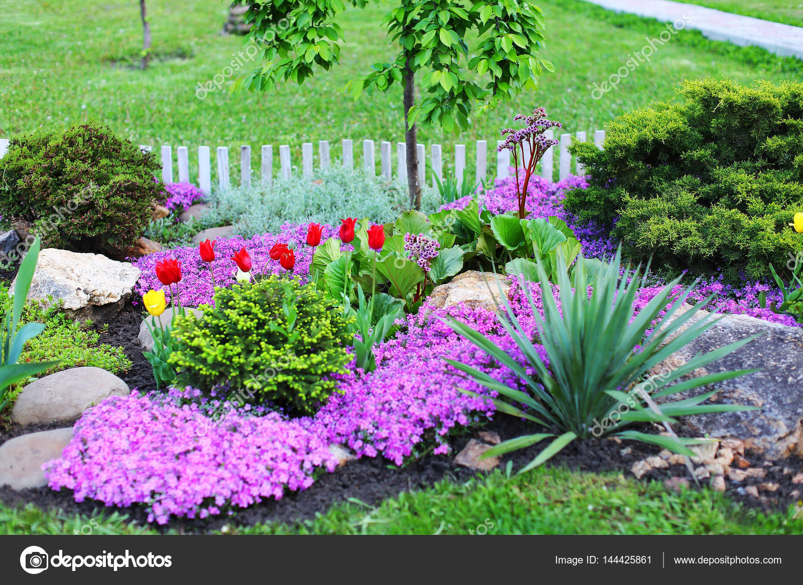 Resultado de imagen de imagenes de flores plantas y arboles