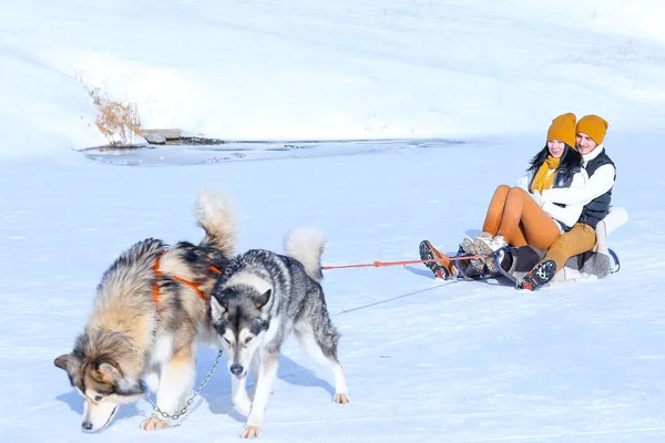Portret młodej pary z psami, uśmiechając się i przytulanie w zimie — Zdjęcie stockowe