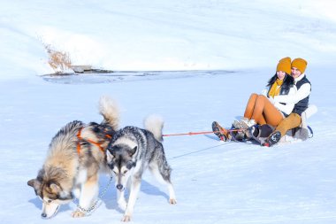 Genç çift gülümseyen ve kışın sarılma köpeklerle portresi