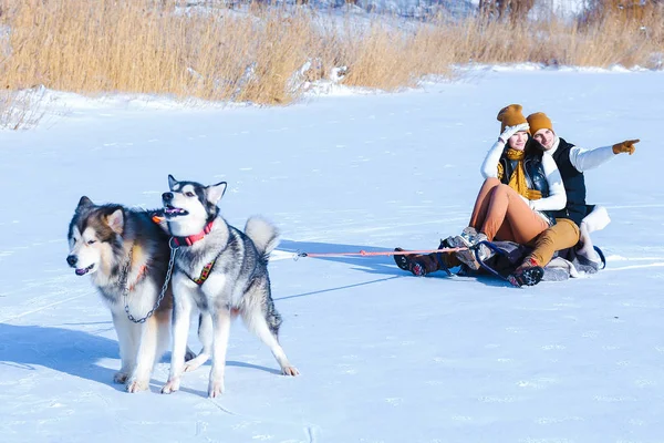 笑顔と冬にハグ犬と若いカップルの肖像画 — ストック写真