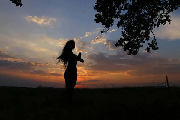 Chica delgada mostrando varias poses y bailando en un campo al aire libre — Foto de Stock