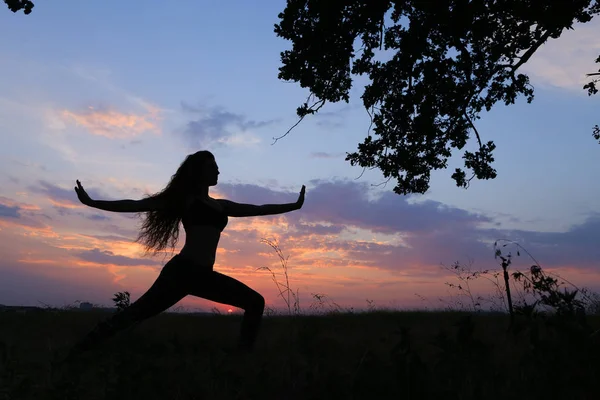 Chica delgada mostrando varias poses y bailando en el campo al aire libre en — Foto de Stock